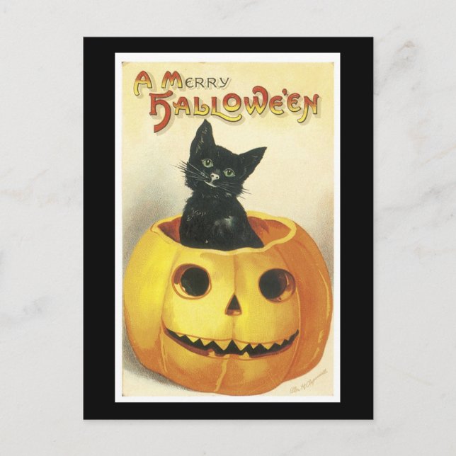 Halloween Black Cat and Pumpkin Postcard (Front)