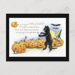 Halloween Black Cat and Pumpkin Postcard