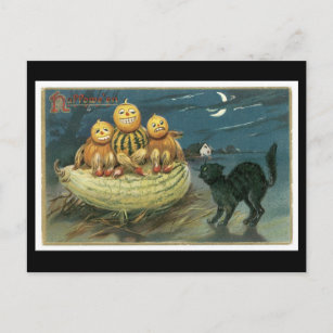 Halloween Black Cat and Pumpkin Postcard