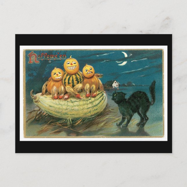 Halloween Black Cat and Pumpkin Postcard (Front)