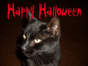 HALLOWEEN BLACK CAT door mat
