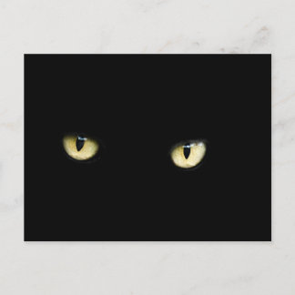Halloween Black Cat Eyes Postcard