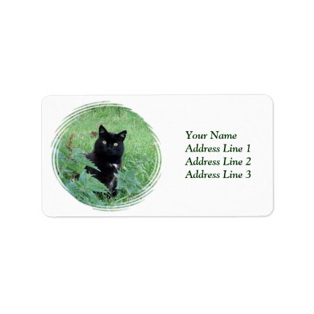 Halloween Black Cat In Grass Address Label