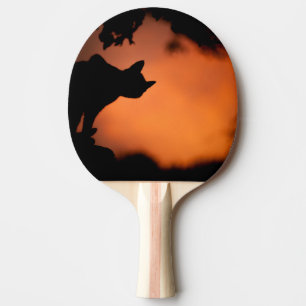Halloween Black Cat Orange Background Customize Ping Pong Paddle