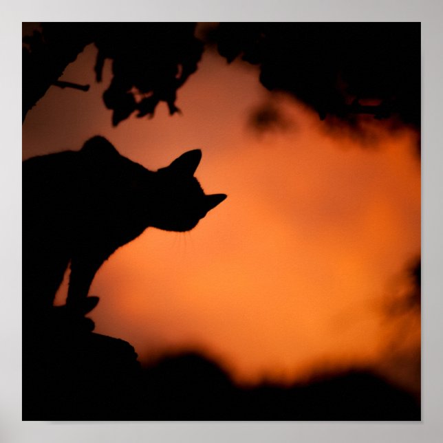 Halloween Black Cat Orange Background Customize Poster (Front)