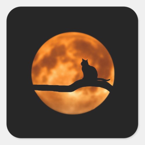 Halloween Black Cat Orange Harvest Moon Stickers
