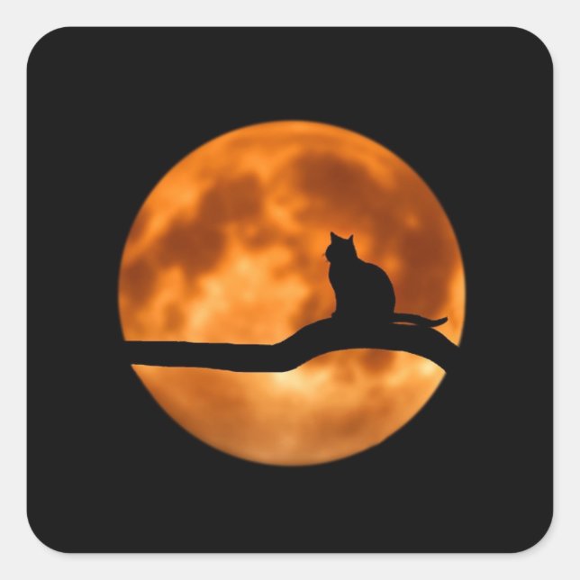 Halloween Black Cat Orange Harvest Moon Stickers (Front)