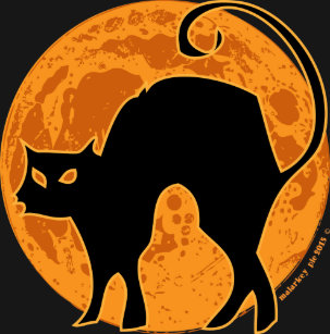 Halloween Black Cat Orange Moon T Shirt Halloween Black Cat Orange Moon T Shirt