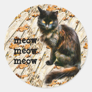 Halloween Black Cat Pet Photography Meow Meow Meow Classic Round Sticker