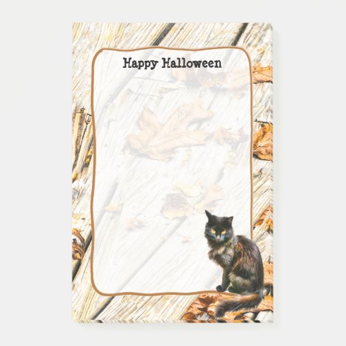 Halloween Black Cat Pet Photography Notes