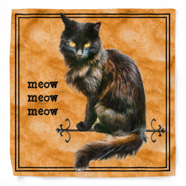 Halloween Black Cat Pet Photography | Orange Grung Bandana (Front)