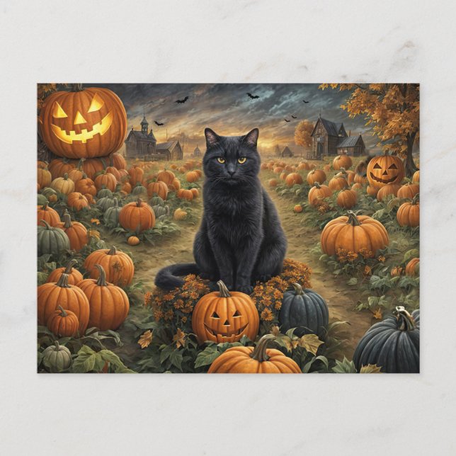 Halloween Black Cat Pumpkin Patch Cute Holiday Postcard (Front)