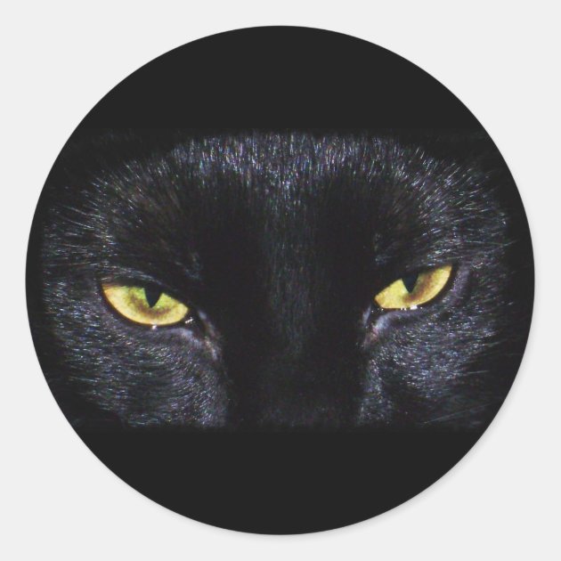 Halloween Black Cat Sticker