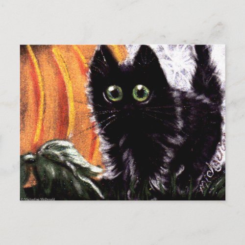 Halloween Black Cat Who Dat Scaredy Cat Postcard
