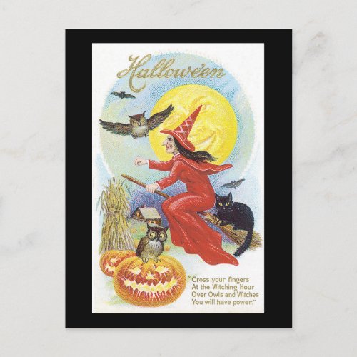 Halloween Black Cat Witch and Owl Postcard