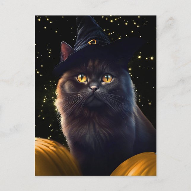 Halloween Black Cat Witch Hat And Pumpkins Holiday Postcard (Front)