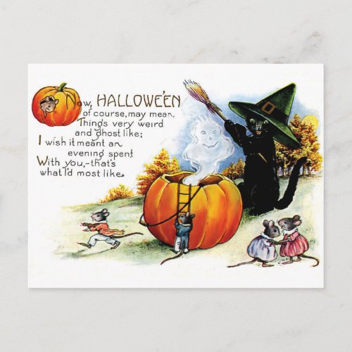 Halloween black cat witchcraft postcard