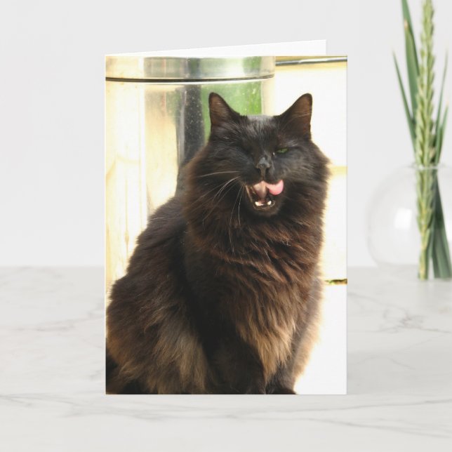 Halloween- Black Cat With One Eye Card (Front)