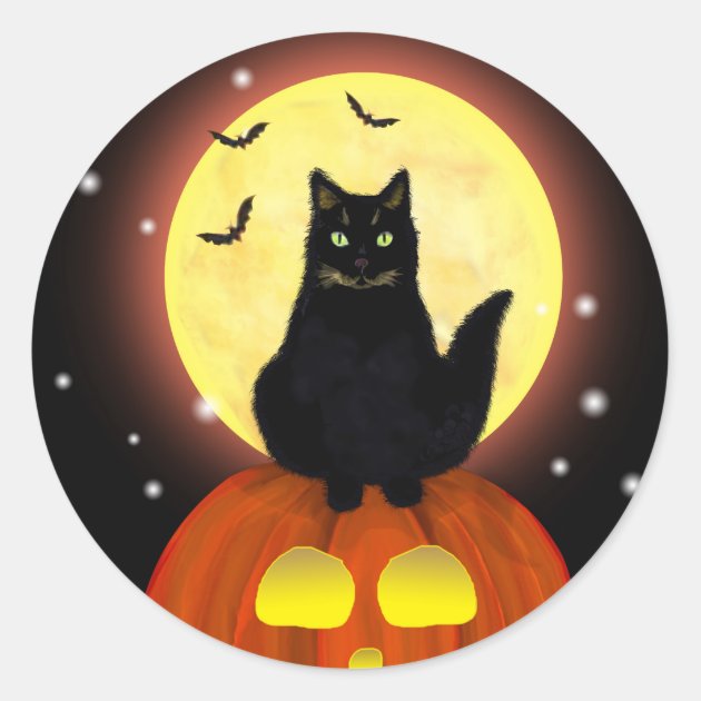Halloween Black Cat With Pumpkin Classic Round Sticker