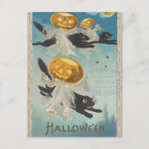 Halloween Black Cats & Pumpkin Ghosts Vintage Postcard