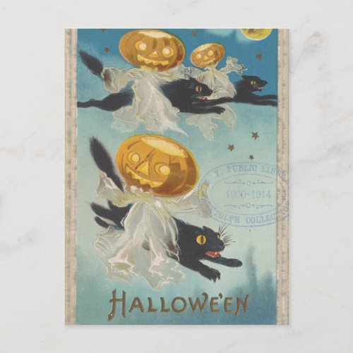 Halloween Black Cats  Pumpkin Ghosts Vintage Postcard