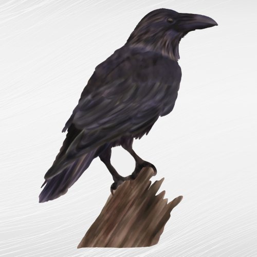 Halloween Black Crow Watercolor Sticker