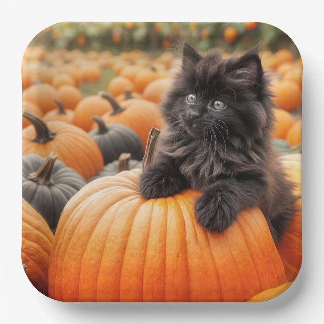 Halloween Black Kitten On a Pumpkin Paper Plates (Front)