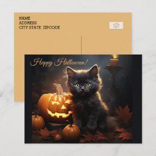 Halloween Black Kitty Cat, Jack o Lantern Pumpkins Postcard