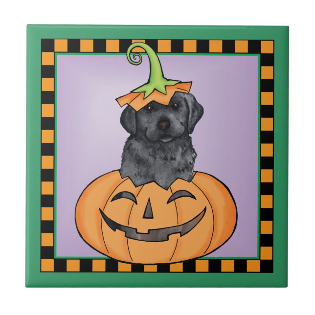 Halloween Black Lab Ceramic Tile (Front)