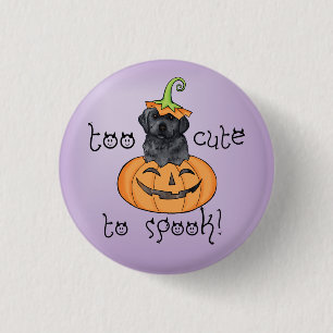 Halloween Black Lab Pinback Button