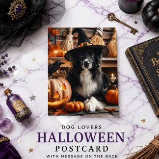 Halloween Black Witch Dog Lovers Holiday Postcard