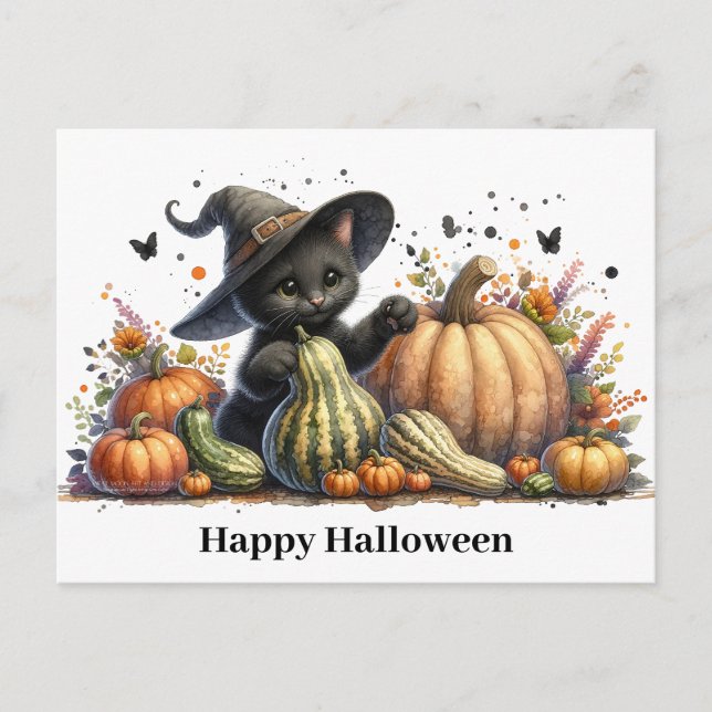 Halloween Black Witch's Kitten W/ Pumpkins Gourds Holiday Postcard (Front)