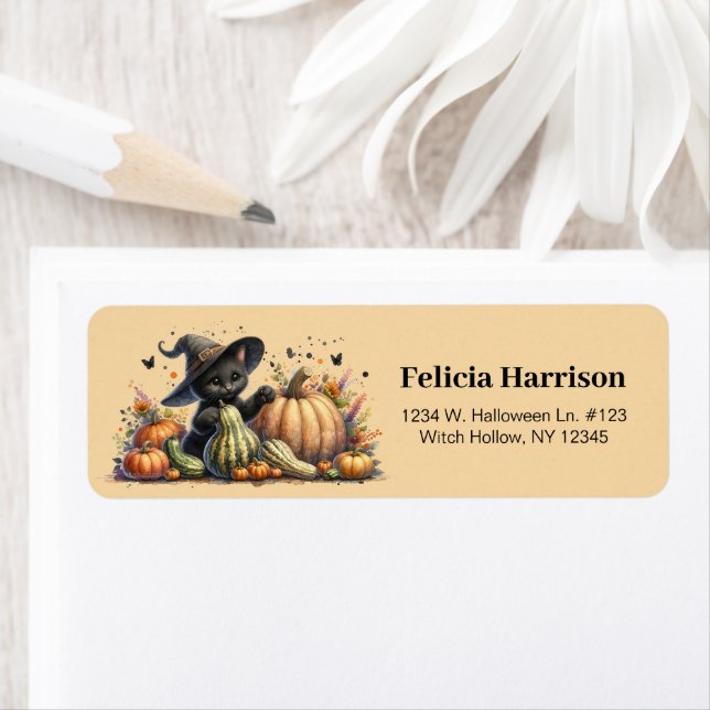 Halloween Black Witch's Kitten W/ Pumpkins Gourds Label (Insitu)