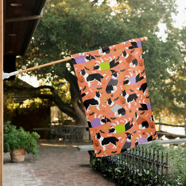 Halloween Border Collie House Flag (In SItu)