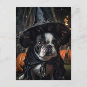 Halloween Boston Terrier Dog Postcard