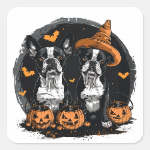 Halloween Boston Terrier Dogs Square Sticker