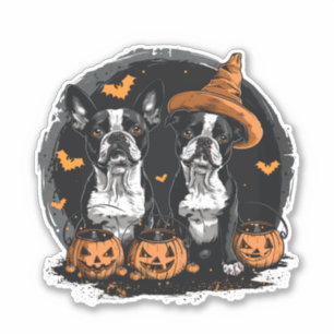 Halloween Boston Terrier Dogs Sticker