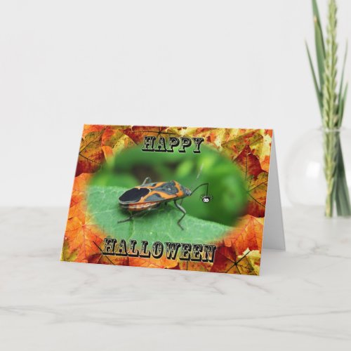 Halloween Box Elder Bug Card