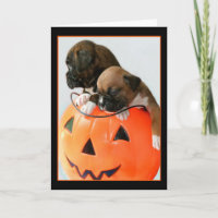 Halloween Boxer puppies greeting card