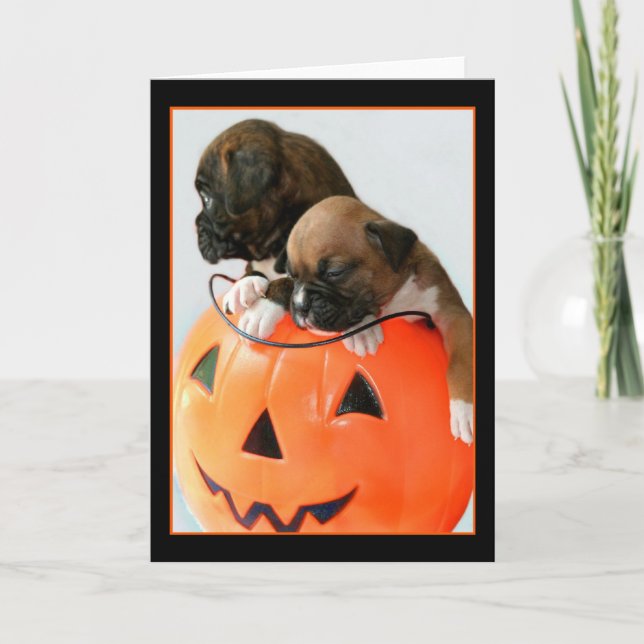 Halloween Boxer puppies greeting card (Front)
