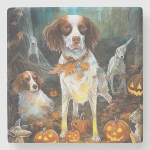 Halloween Brittany Spaniel With Pumpkins Scary Stone Coaster