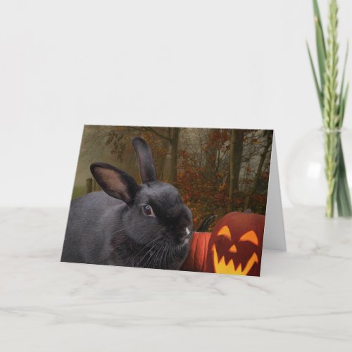 Halloween Bunny Holiday Card