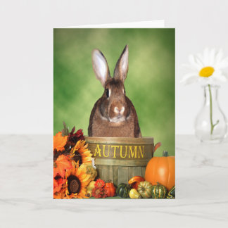 Halloween Bunny Sitting in an Autumn Wooden Basket Card