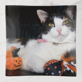 Halloween Calico Cat Trinket Tray