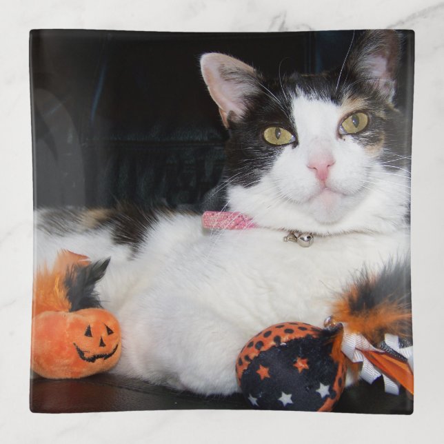 Halloween Calico Cat Trinket Tray (Front)