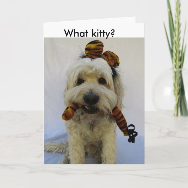 halloween card, humor, dog eats cat, guilty dog, holiday card (Front)