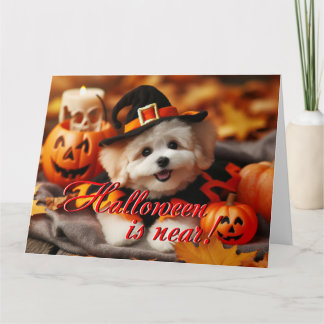 Halloween card Maltipoo dog