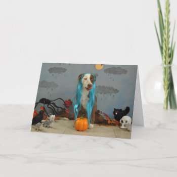 Halloween Card Using Dogs Dressed Up In Costumes by PlaxtonDesigns at Zazzle