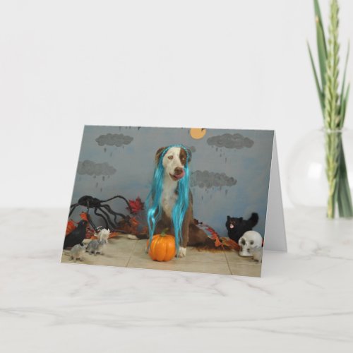 Halloween card using dogs dressed up in costumes