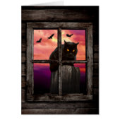 Halloween Cat (Front)